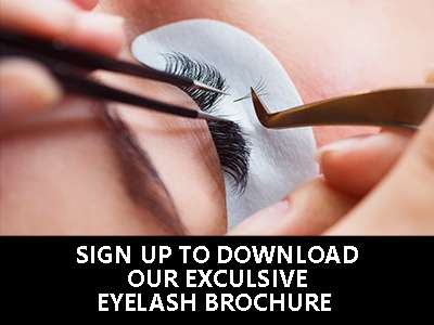 eyelash brochure
